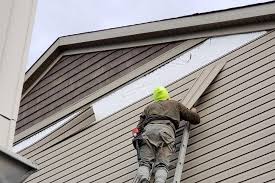 Best Storm Damage Siding Repair  in Girard, IL